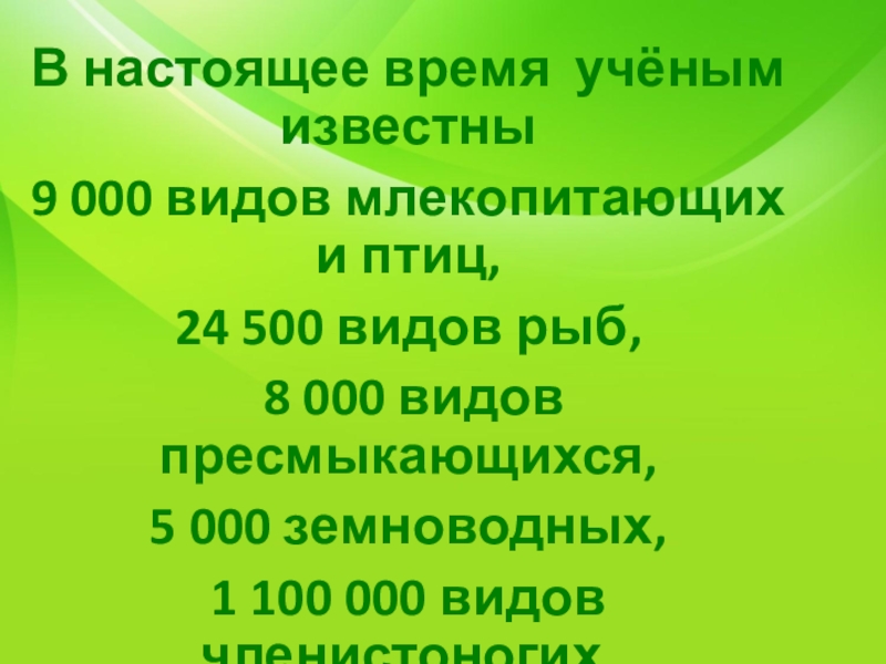 500 видов