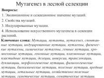 Мутагенез в лесной селекции