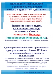 Единовременная выплата
в размере 10 000 рублей
семьям с детьми от 3 до 16