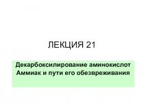 ЛЕКЦИЯ 21