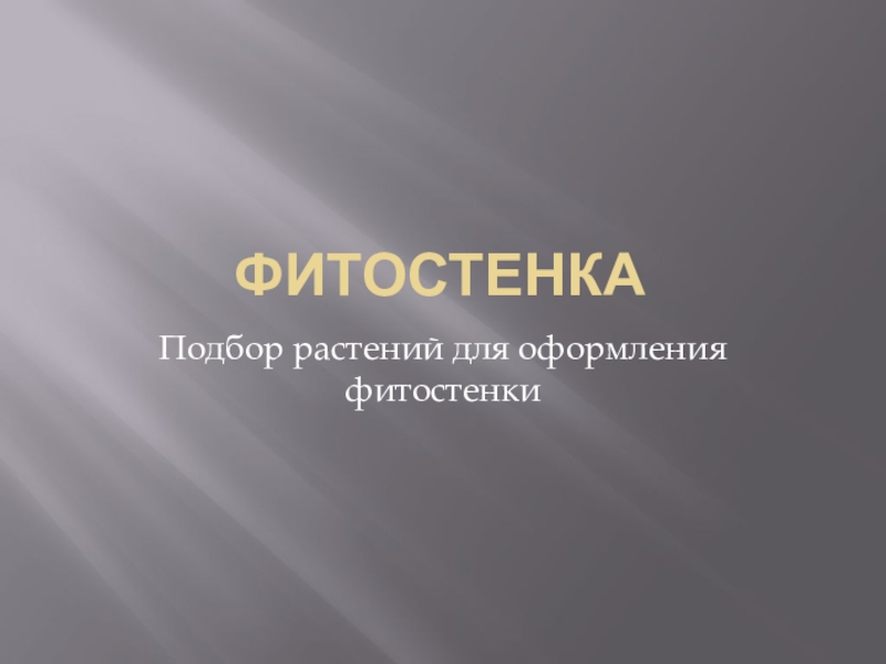 Презентация Фитостенка