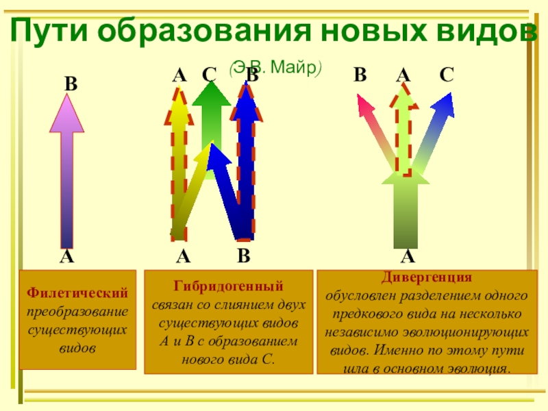 Видообразование биология 9 класс презентация пасечник