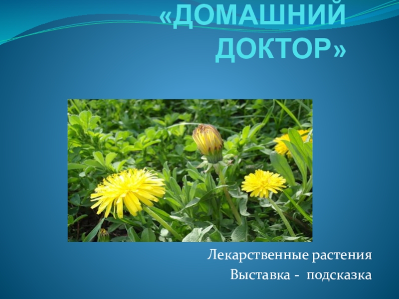 Презентация Лекарственные растения в домашней аптечке  Учитель: Шибаева Н.Ю. ДОМАШНИЙ