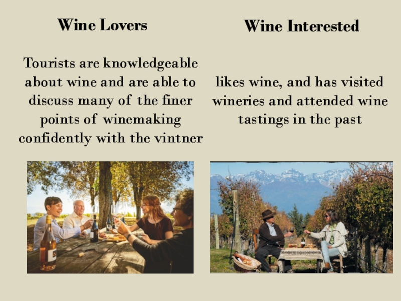 who is the wine tourist