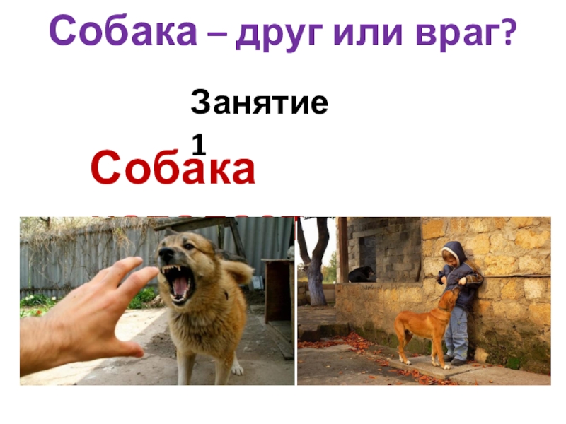 Собака – друг или враг?
Занятие 1
Собака нападает