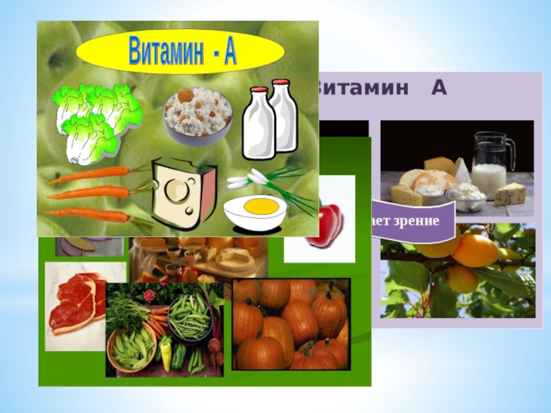 Виды питания. Разновидности питания. Виды пищи. Презентация на тему виды питания. Сбо виды питания.