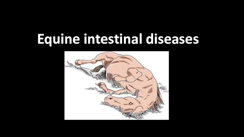 Equine i ntestinal disease s