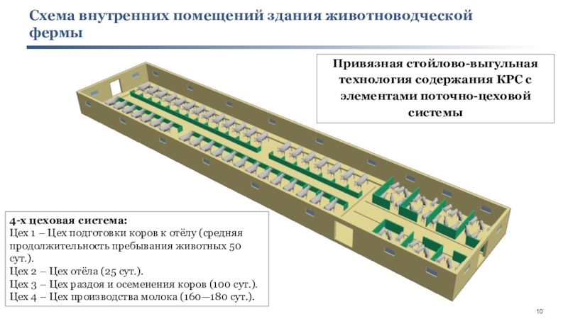 Какой поточнее. Схема внутренних помещений здания животноводческой фермы. Технология поточно-цеховой системы производства молока. Поточно-Цеховая система содержания. Поточно-Цеховая система содержания коров.