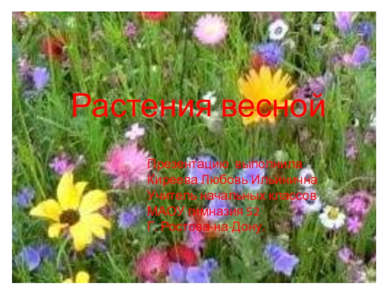 Растения весной
Презентацию выполнила
Киреева Любовь Ильинична
Учитель