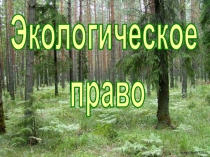 Экологическое
право