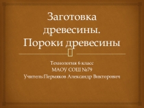 Заготовка древесины. Пороки древесины