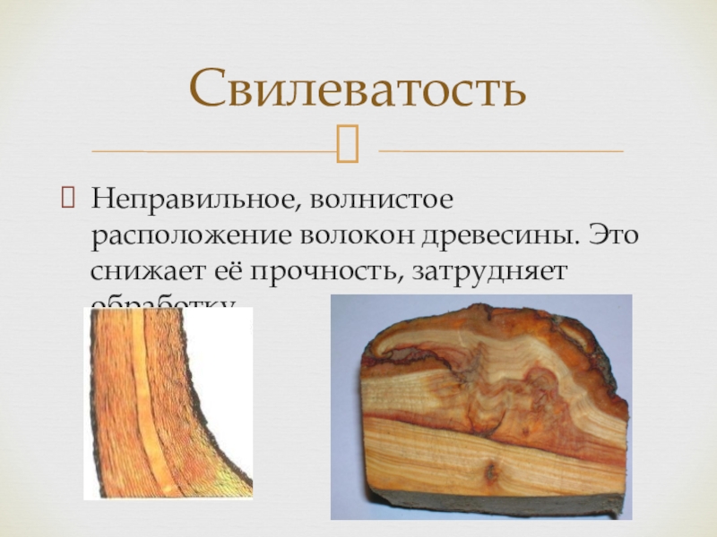 Рисунки пороки древесины