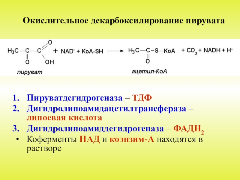 Окислительное декарбоксилирование пирувата схема