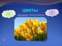 цветы