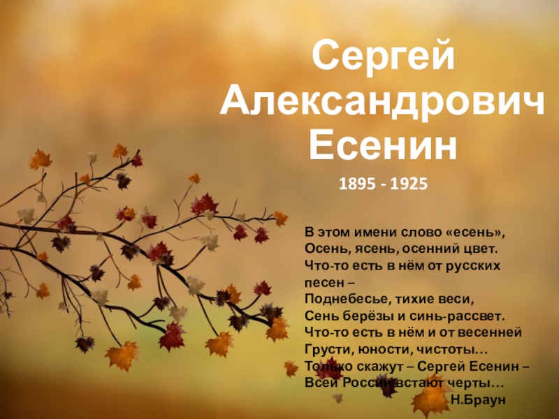 Сергей Александрович Есенин
1895 - 1925
В этом имени слово  есень ,
Осень,