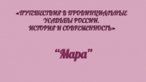 ПУТЕШЕСТВИЯ В ПРОВИНЦИАЛЬНЫЕ УСАДЬБЫ РОССИИ.
ИСТОРИЯ И СОВРЕМЕННОСТЬ