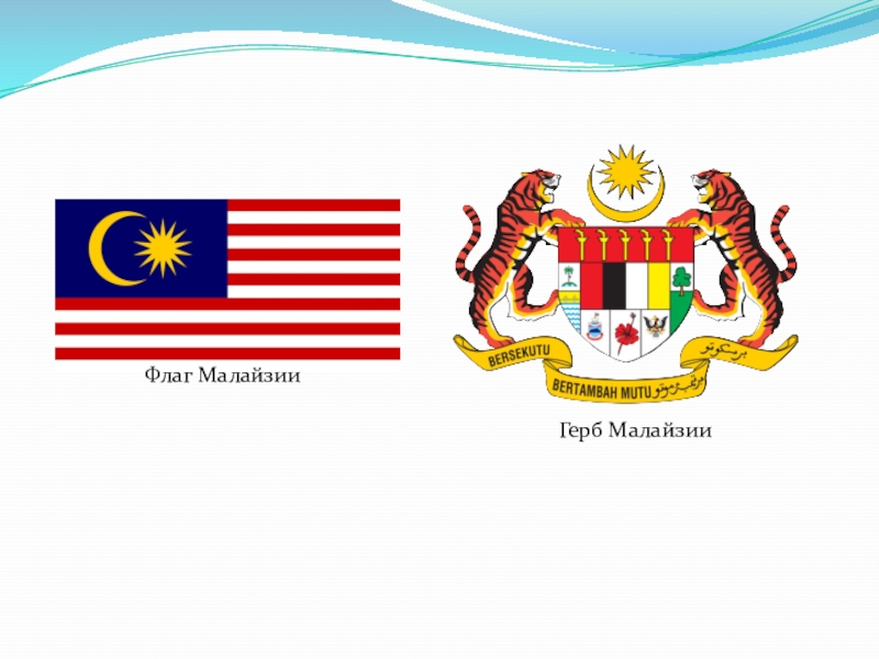 Малайзия счет. Малайзия флаг и герб. Герб Малайзии. Федерация Малайзия флаг. Альтернативный флаг Малайзии.