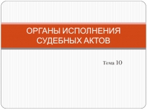 ОРГАНЫ ИСПОЛНЕНИЯ СУДЕБНЫХ АКТОВ