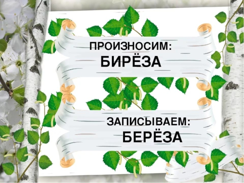 Березка основа. Проект про березу. Проект о слове береза. Рассказ о слове береза. Шаблон для презентации Березка.