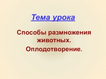 Тема урока