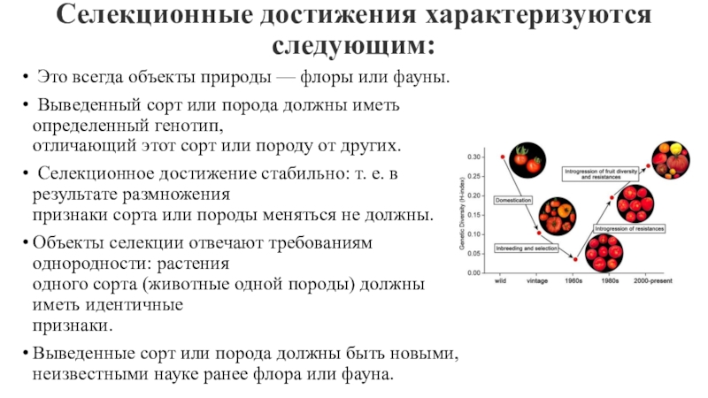 Результаты селекционной деятельности селекционные достижения