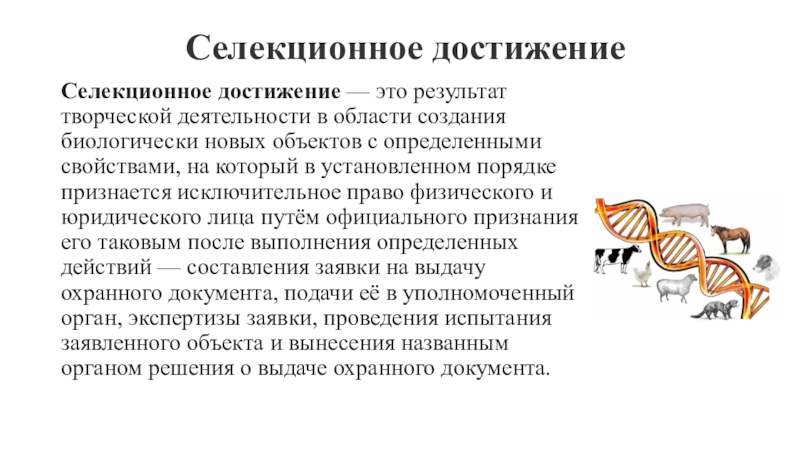 Достижение это. Селекционные достижения. Селекционные достижения доклад. Анкета на Селекционное достижение. Хозяйственная полезность селекционного достижения это.