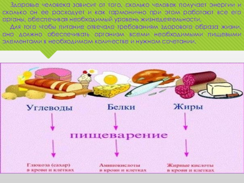 Составляющие организма человека. Из чего человек получает энергию. Как питание человека зависит от. Тепловое самочувствие человека зависит. Здоровье человека зависит от тест.