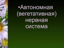 Автономная (вегетативная) нервная система