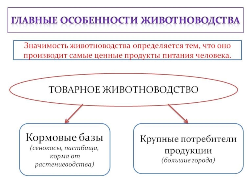 Значение животноводства. Животноводство и материальные потребности человека.. Технологии животноводства схема. Технологические процессы в животноводстве. Потребности человека в животноводстве.