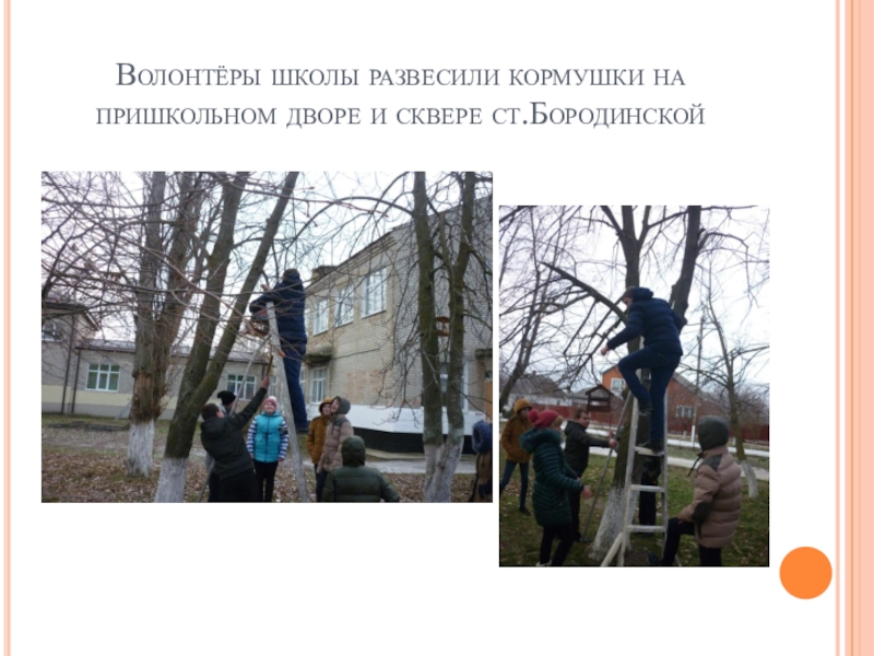 Волонтёры школы развесили кормушки на пришкольном дворе и сквере ст.Бородинской