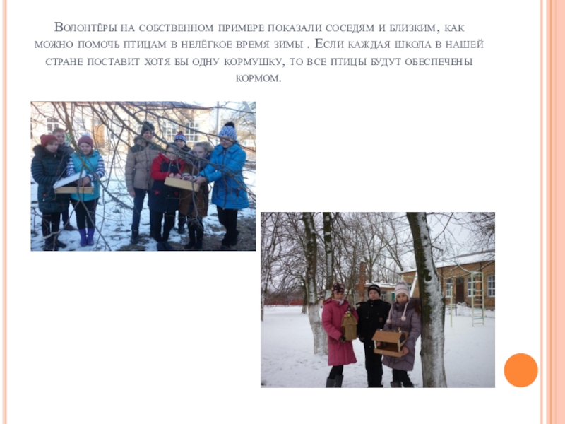 Волонтёры на собственном примере показали соседям и близким, как можно помочь птицам в нелёгкое время зимы .