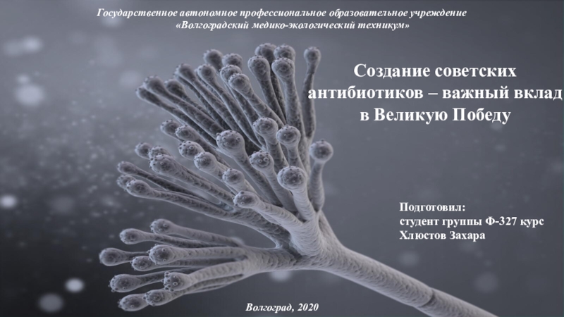 Создание советских антибиотиков – важный вклад в Великую Победу
Подготовил: