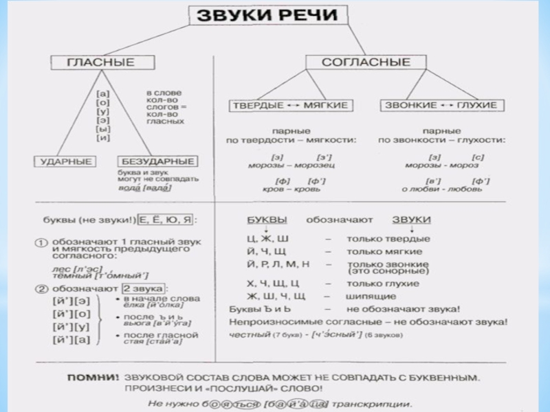 Фонетический разбор слова язык картинки