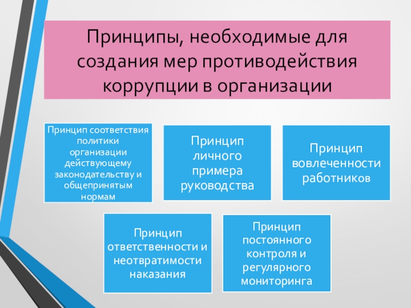 Меры противодействия коррупции. Принципы дисциплинарной ответственности.