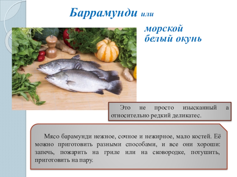 В какой рыбе мало костей. Нежирная рыба мало костей. Текст в виде рыбы.