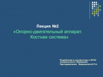 Лекция №2 Опорно-двигательный аппарат. Костная система