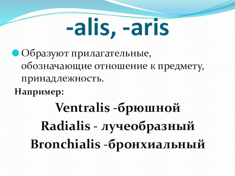 Группы прилагательных в латинском. Прилагательные обозначающее рамер. Alis Aris латинский. День прилагательное обозначает.