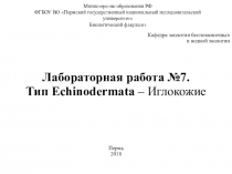 Министерство образования РФ ФГБОУ ВО Пермский государственный национальный