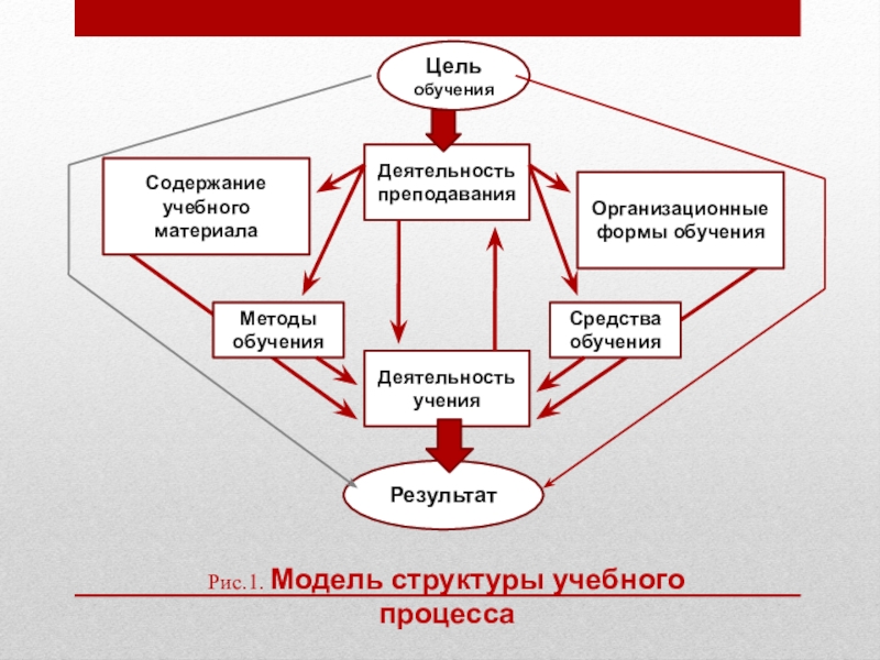 Схема структура образовательного процесса