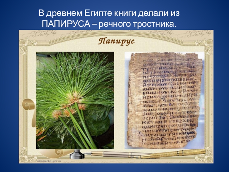 Папирус Из Тростника