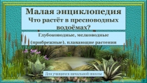 Малая энциклопедия
Что растёт в пресноводных водоёмах?
Глубоководные,