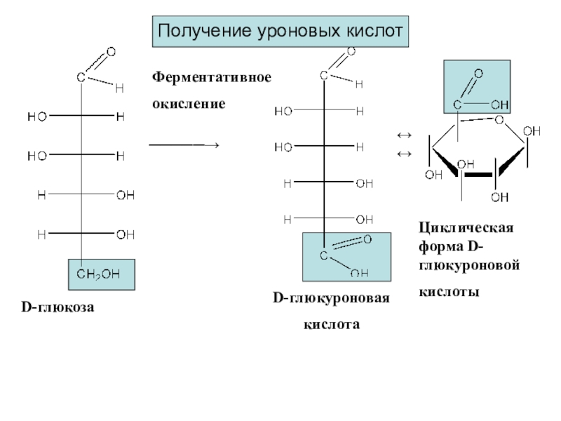 Отметь схему процесса окисления p 5 8e p 3