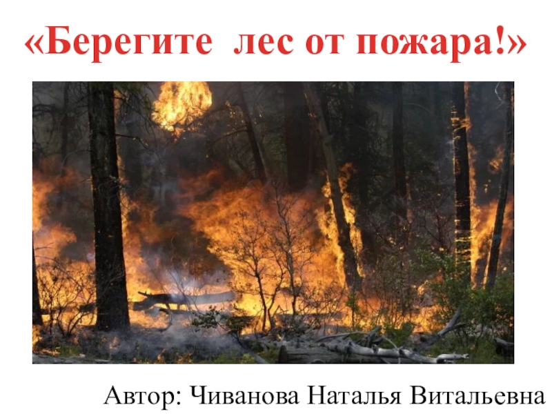 Автор: Чиванова Наталья Витальевна
Берегите лес от пожара!