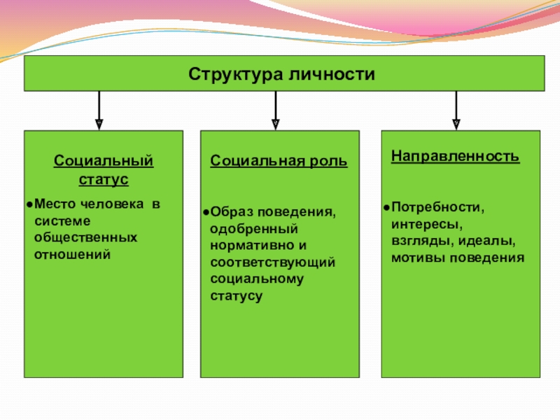 Социальный статус и социальная роль план