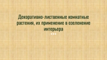 Декоративно-лиственные комнатные растения, их применение в озеленение интерьера