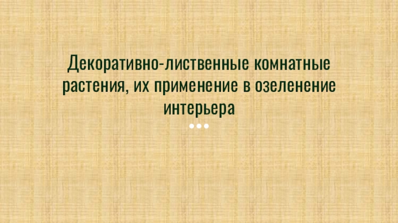 Декоративно-лиственные комнатные растения, их применение в озеленение интерьера