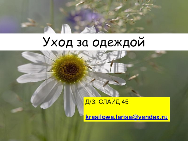 Уход за одеждой
Д/З: СЛАЙД 45
krasilowa.larisa@yandex.ru