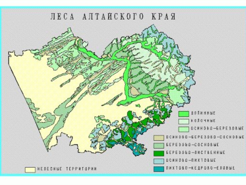 Ландшафтная карта алтайского края