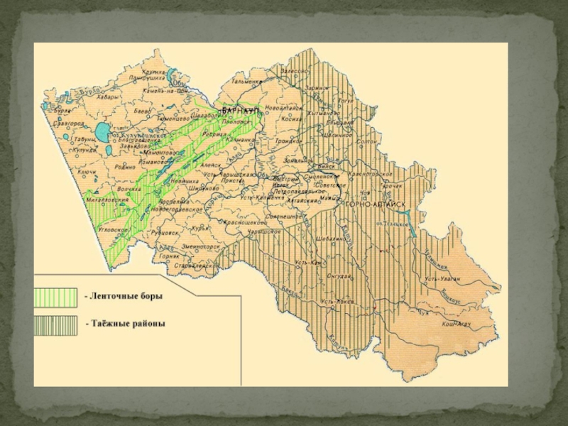 Карта растительности алтайского края