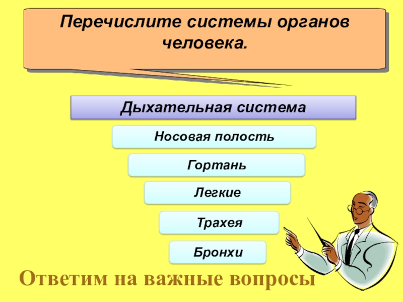 Перечислите системы